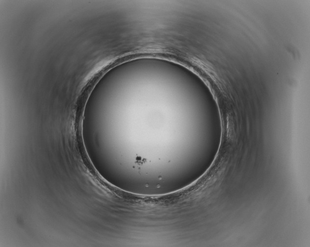X0000112371452200908131507