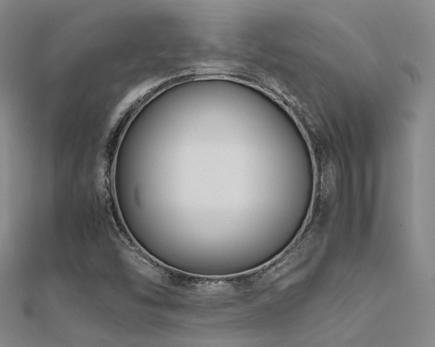 X0000112371454200908131507