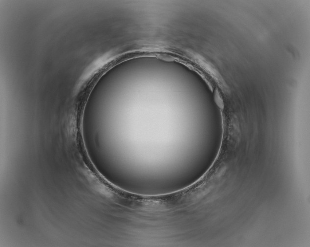 X0000112371456200908131507