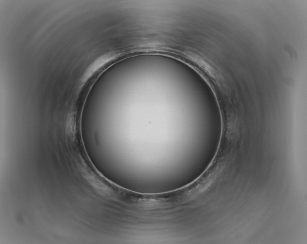 X0000112371458200908131507