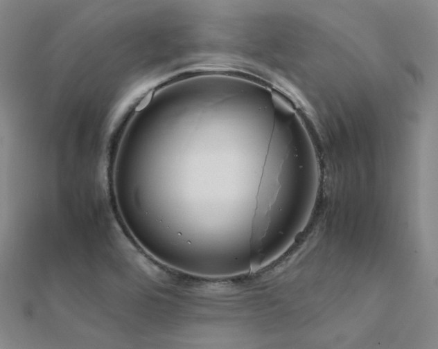 X0000112371464200908131507