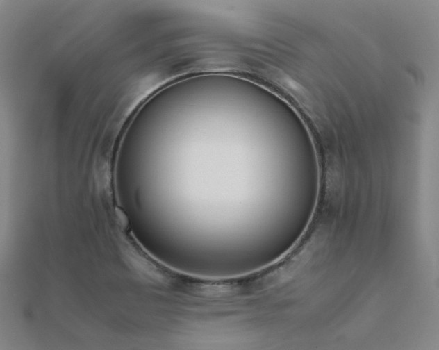 X0000112371465200908131507