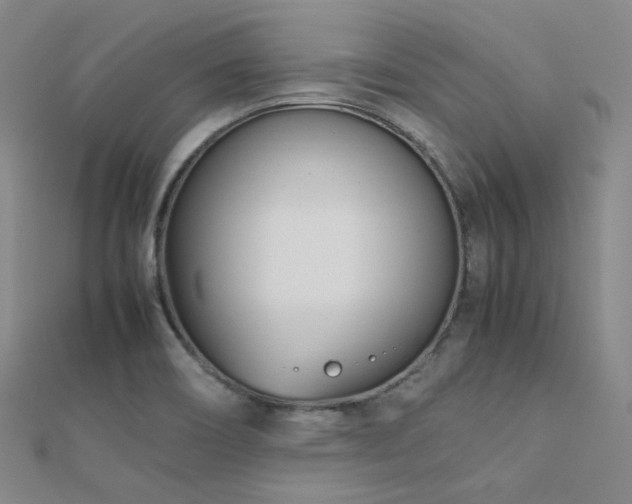 X0000112371466200908131507
