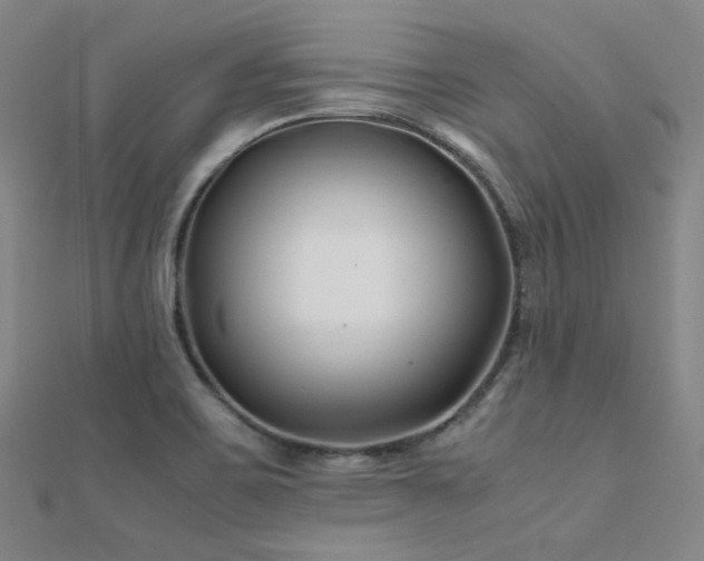 X0000112371467200908131507