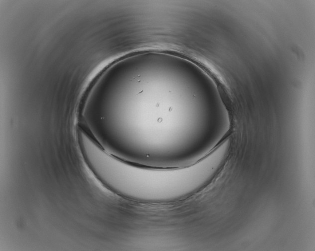 X0000112371468200908131507