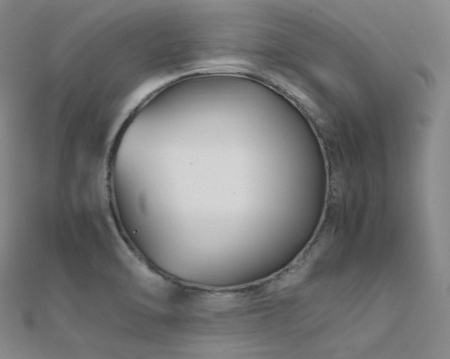 X0000112371470200908131507