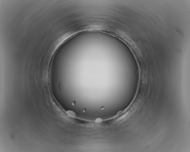 X0000112371473200908131507