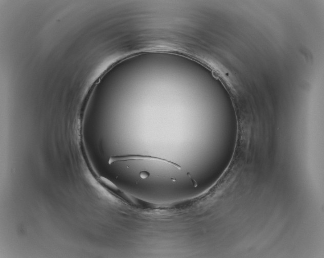 X0000112371476200908131507