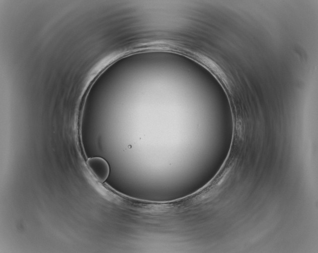 X0000112371482200908131507