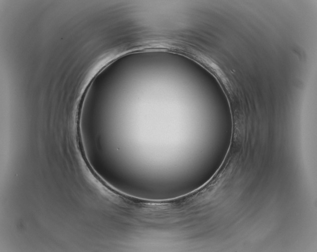 X0000112371483200908131507