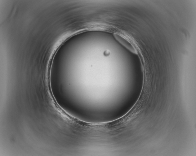 X0000112371488200908131507