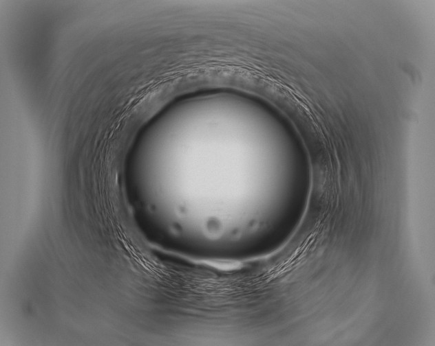 X0000112371489200908131506