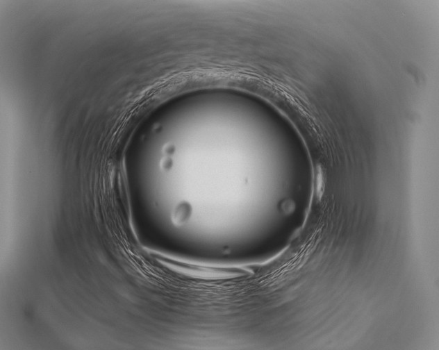 X0000112371492200908131506