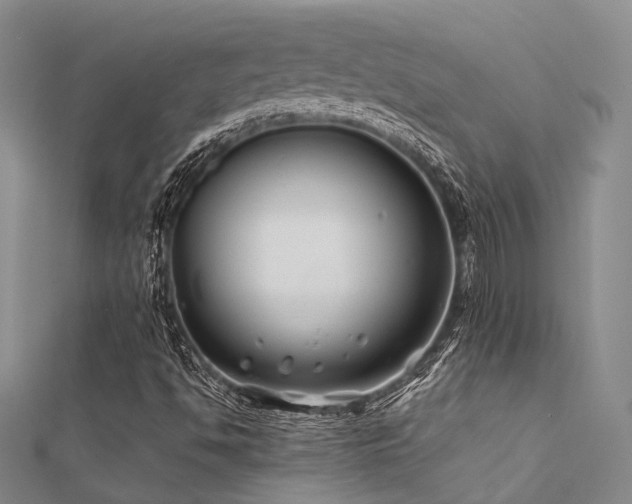 X0000112371494200908131506