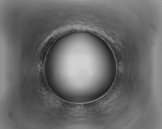 X0000112371495200908131506