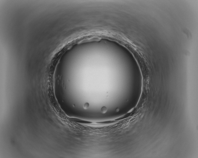 X0000112371496200908131506