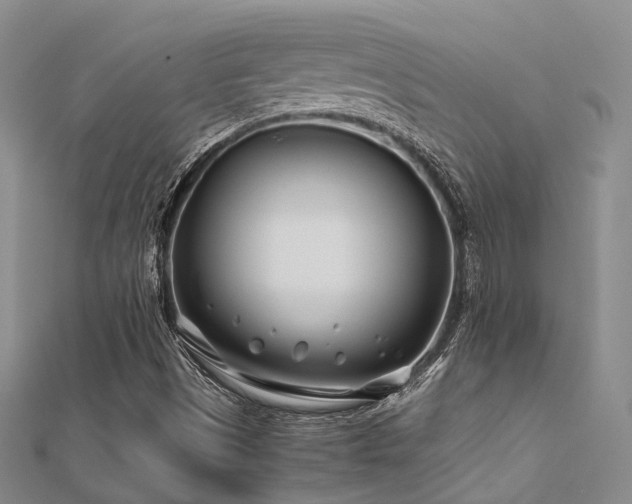 X0000112371497200908131506