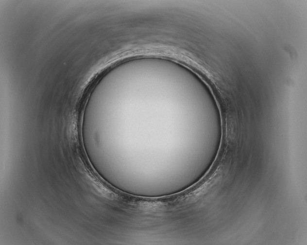 X0000112371498200908131506