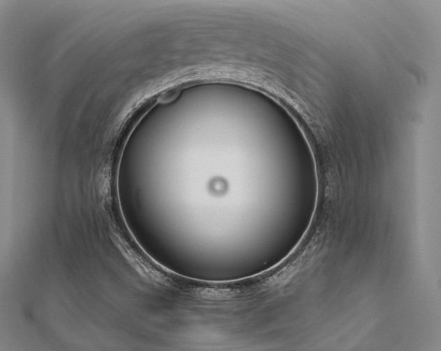 X0000112371499200908131506