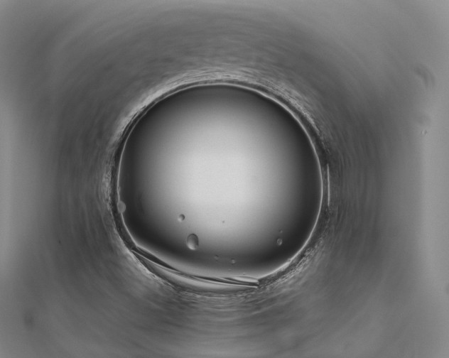 X0000112371500200908131506