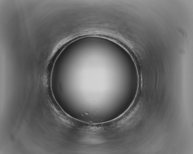 X0000112371501200908131506