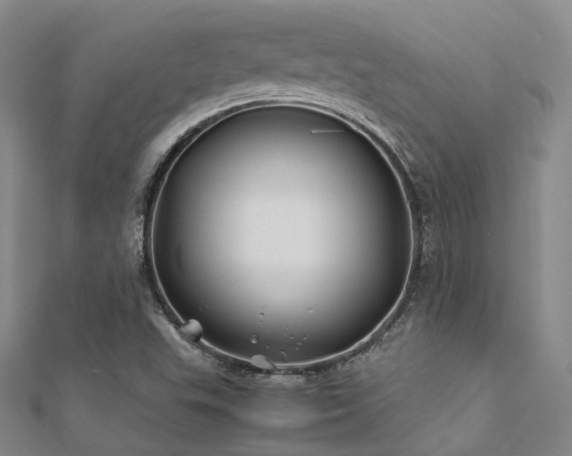 X0000112371503200908131506