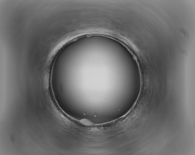 X0000112371504200908131506