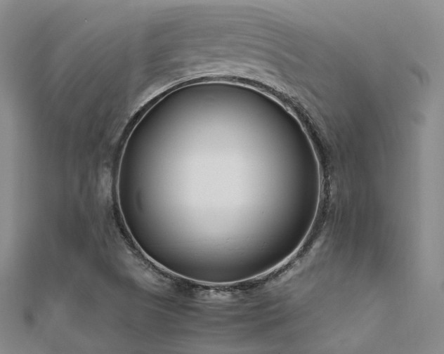 X0000112371505200908131506