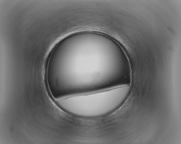 X0000112371508200908131506