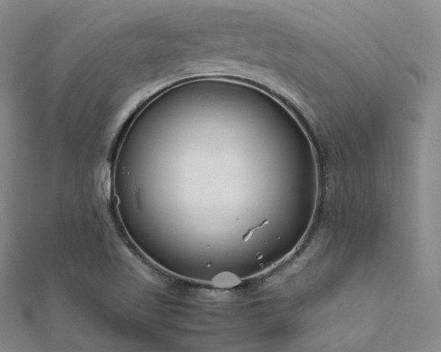 X0000112371509200908131506
