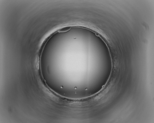 X0000112371510200908131506