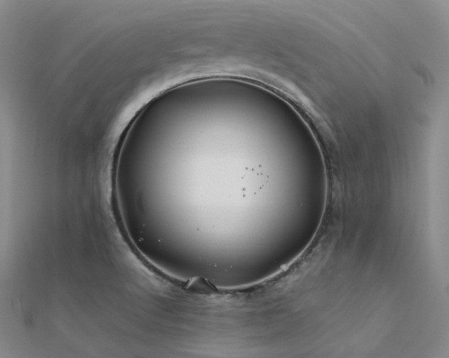 X0000112371512200908131506