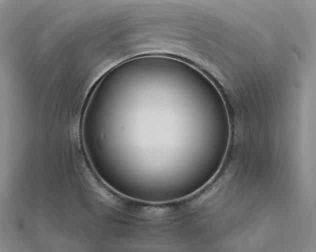 X0000112371513200908131506