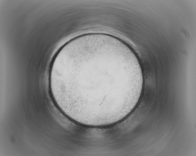 X0000112371514200908131506