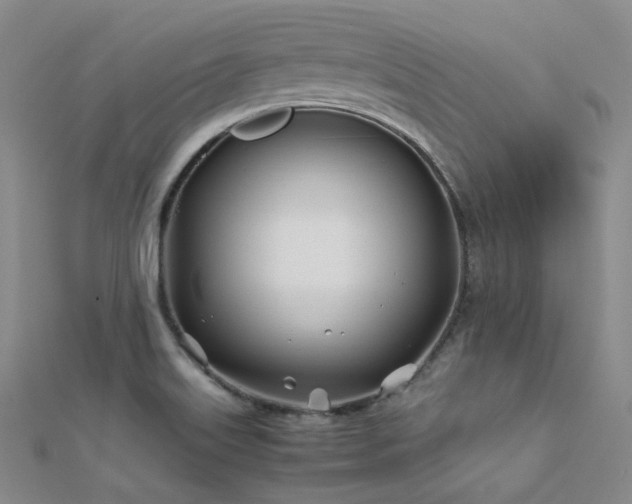 X0000112371515200908131506
