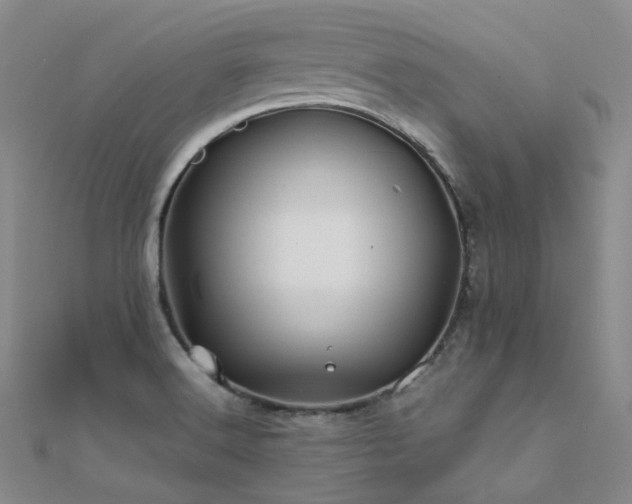 X0000112371516200908131506