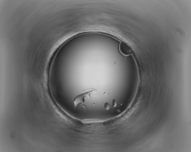 X0000112371517200908131506