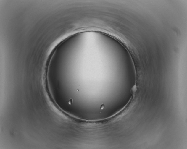 X0000112371518200908131506