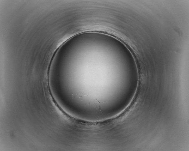 X0000112371521200908131506