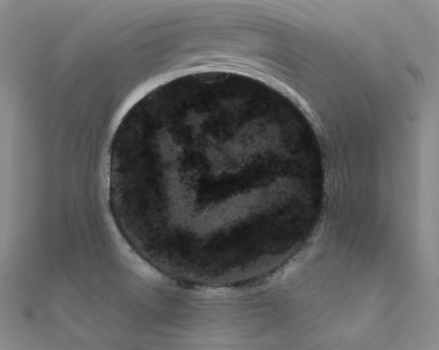 X0000112371522200908131506