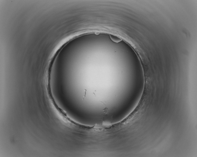 X0000112371523200908131506