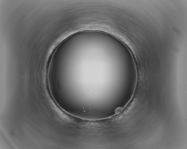 X0000112371525200908131506