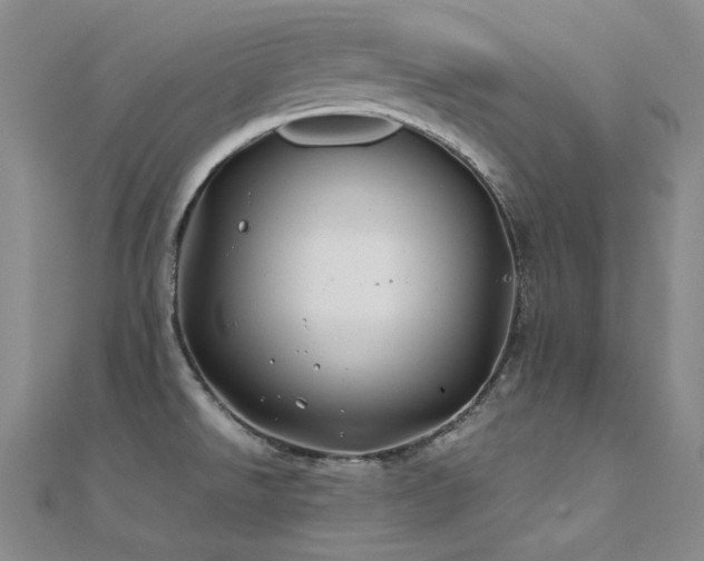 X0000112371526200908131506