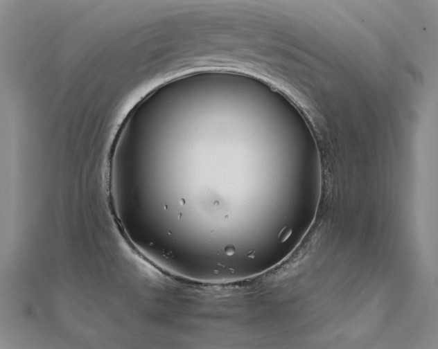 X0000112371527200908131506