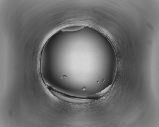 X0000112371528200908131506