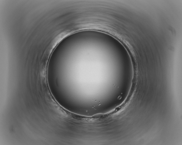 X0000112371529200908131506