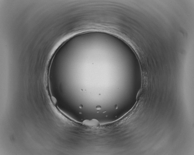 X0000112371531200908131506