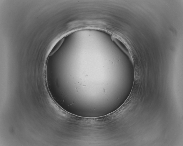 X0000112371532200908131506