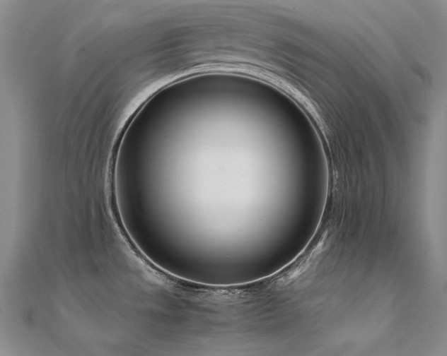 X0000112371533200908131506