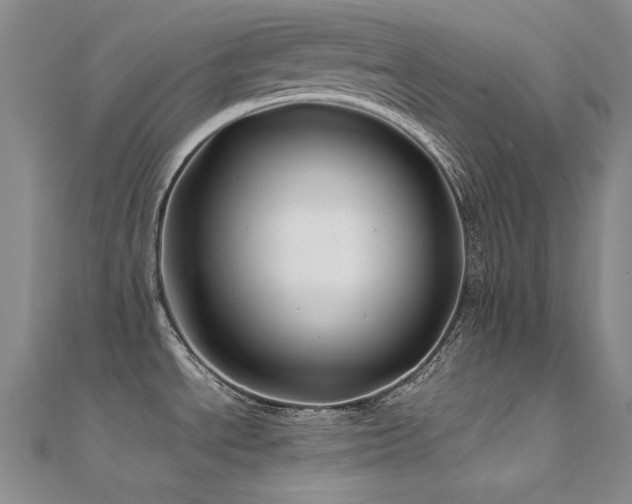X0000112371534200908131506